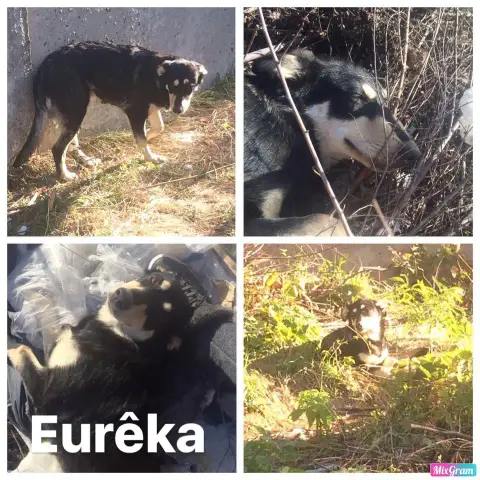 Eureka