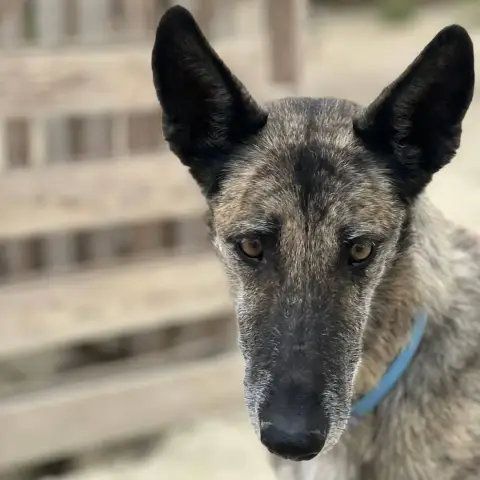 Travis photo 3