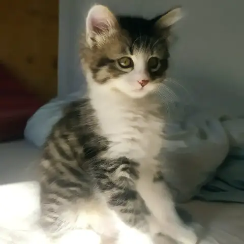 Bob photo 2