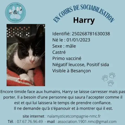 Harry