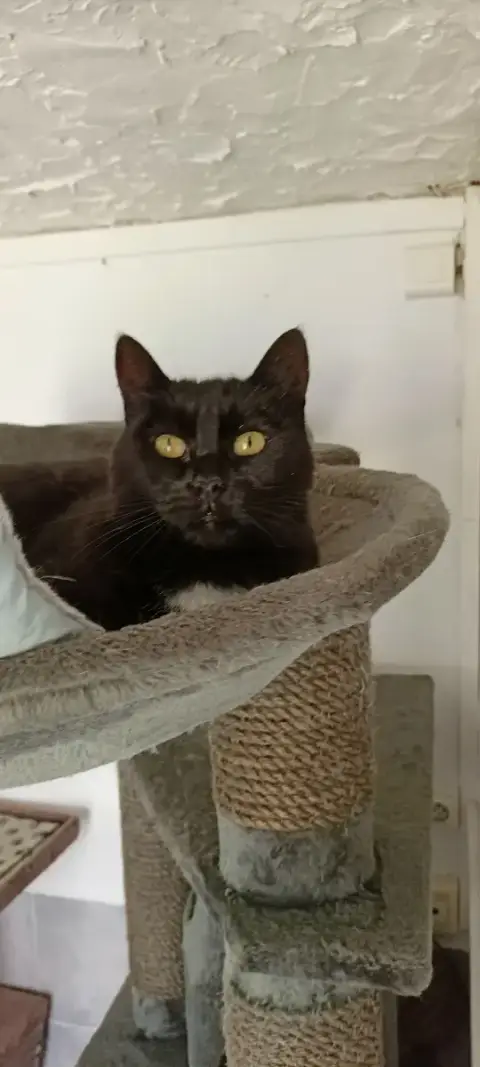 Rita