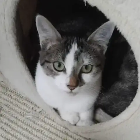 Zélie photo 3