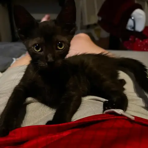 Bianca photo 2
