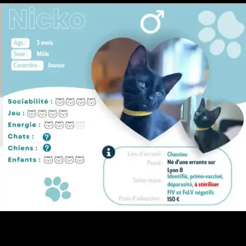 Nicko