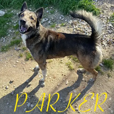 Parker photo 2