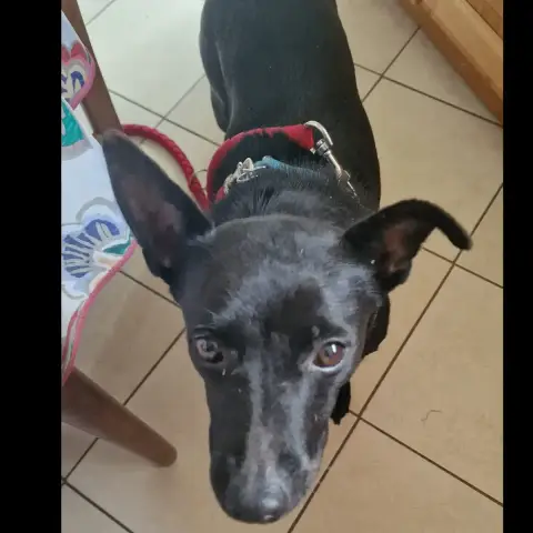 Zoe photo 2