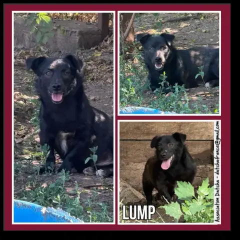 Lump