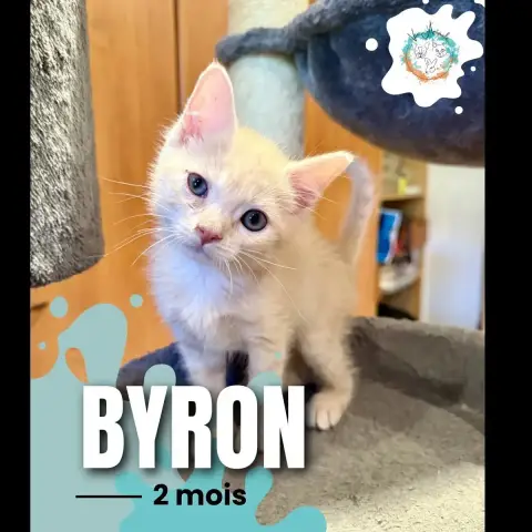 Byron