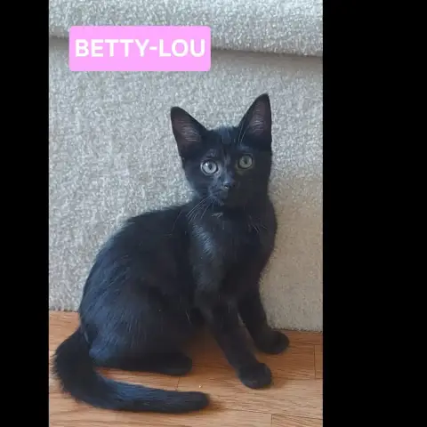 Betty-Lou Et Marie-Oceane photo 2