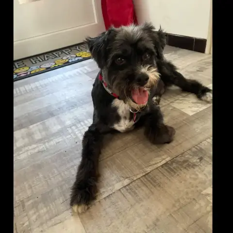 Coco