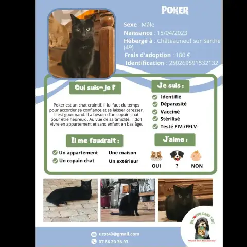 Poker