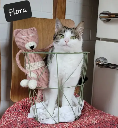 Flora
