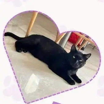 Barnie photo 2