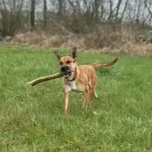 Nala photo 3