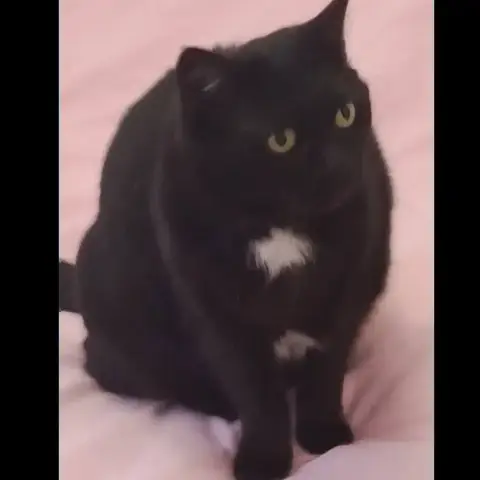 Lili