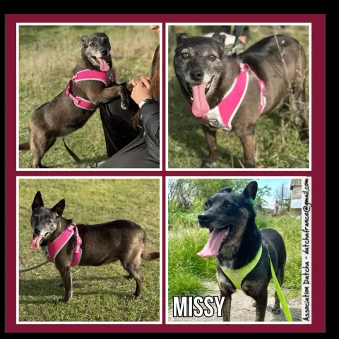 Missy