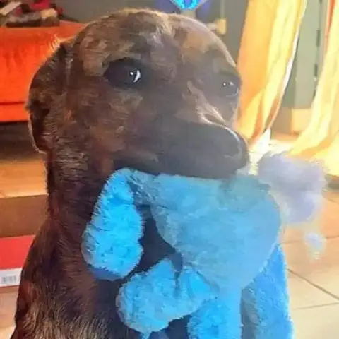 Coco