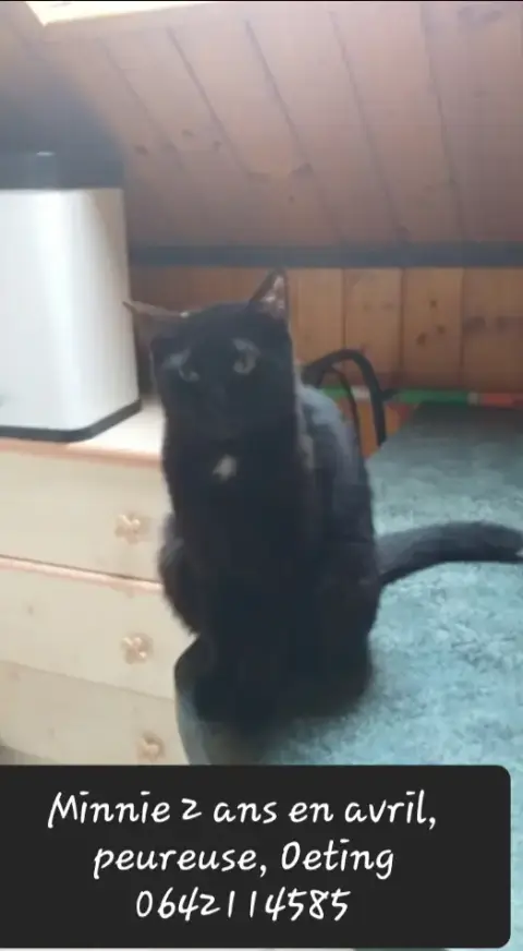 Minnie