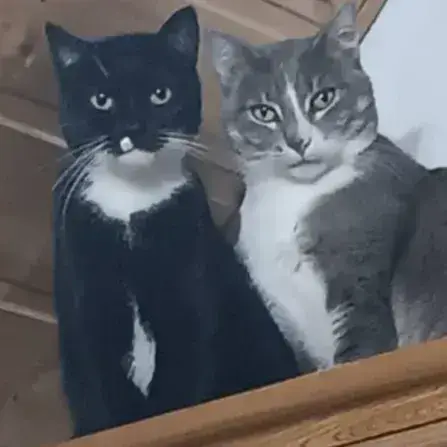 Orion Et Rominet