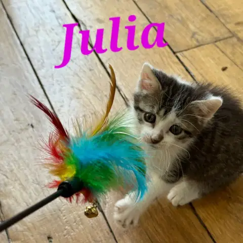 Julia