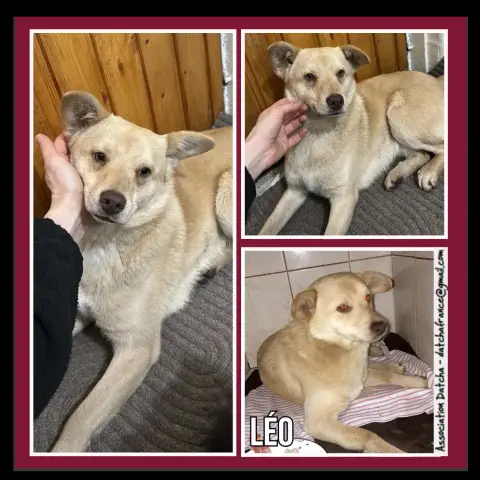 Léo