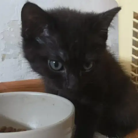 Mignonne photo 2