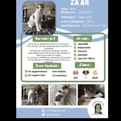 Za Ar