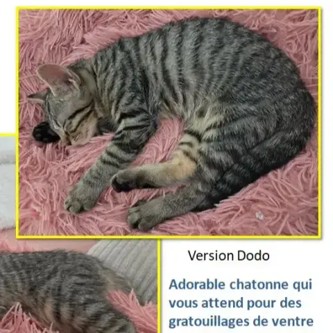 Bidou photo 2