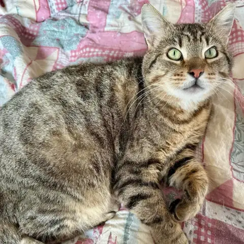 Igor