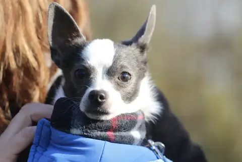 Tony photo 2