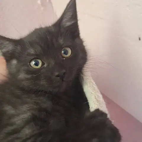 Ben