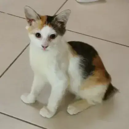 Mina photo 2
