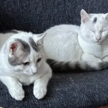 Bouba photo 3