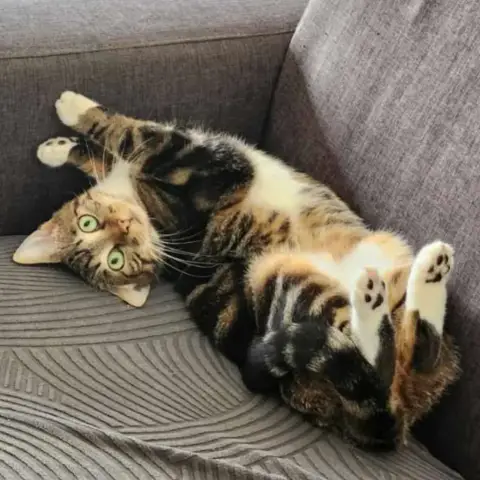 Millie photo 3