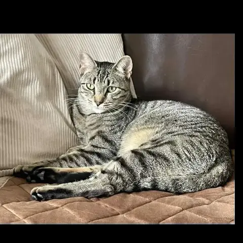 Marco photo 3