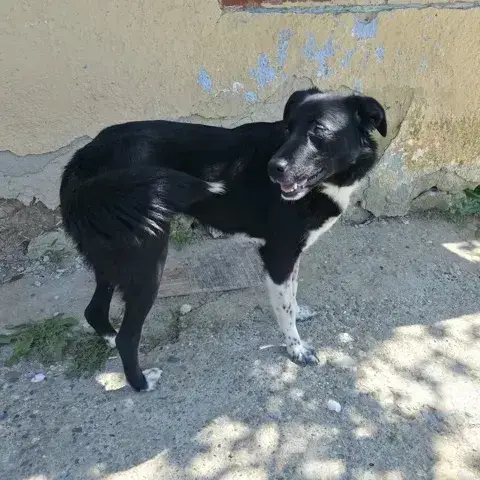 Chance