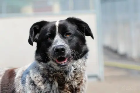 Ralu photo 2