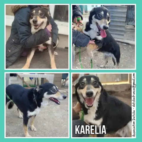 Karelia