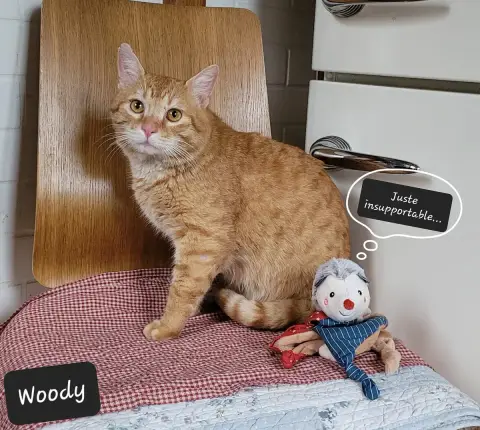 Woody