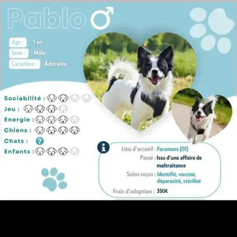 Pablo