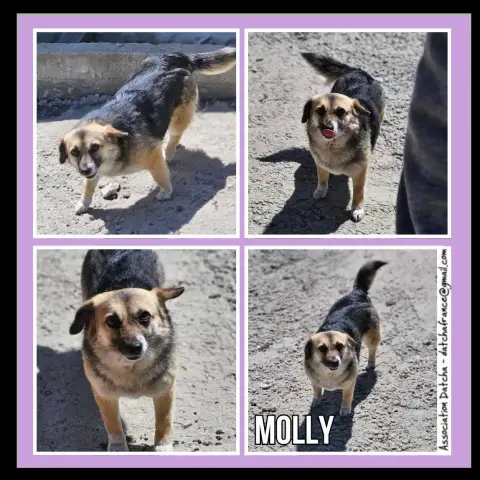 Molly
