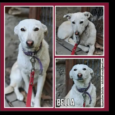 Bella