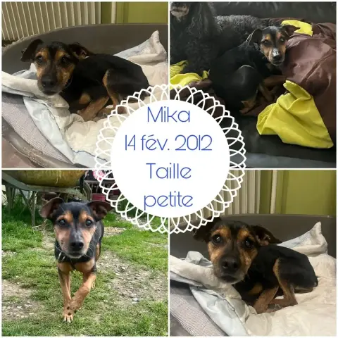 Mika