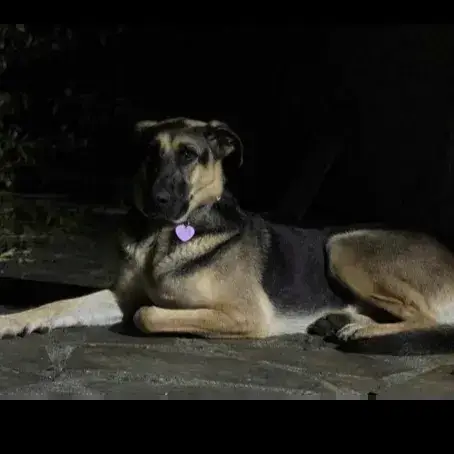 Lola photo 2