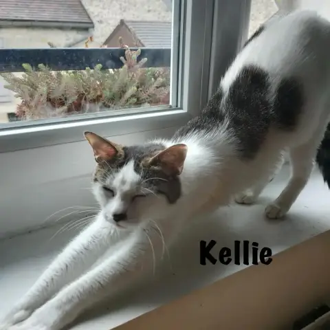 Kellie photo 3