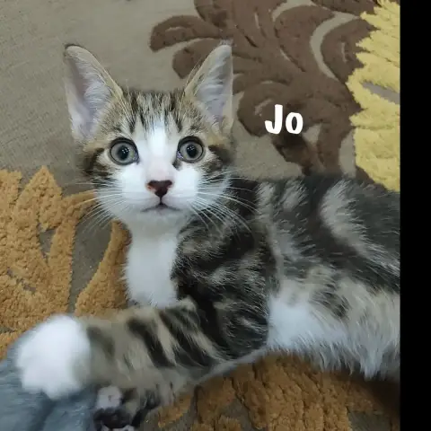 Jo photo 2