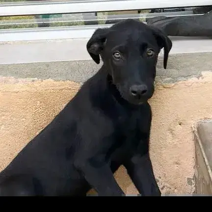 Bouba photo 3