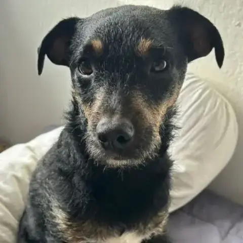 Chester