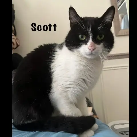 Scott photo 3