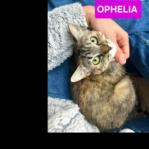 Estela Et Ophelia photo 3